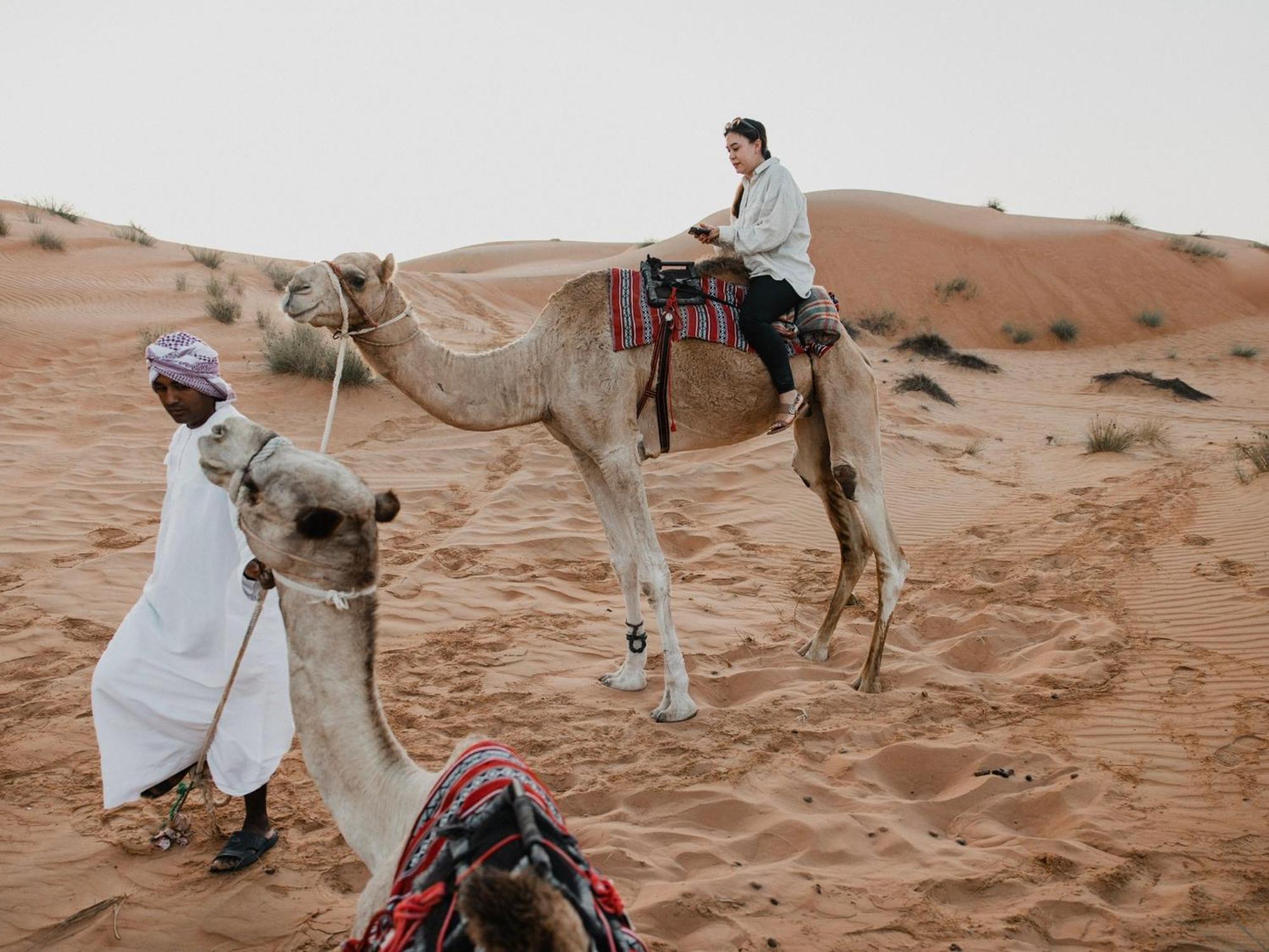 Desert Waves Camp Badīyah Exteriér fotografie
